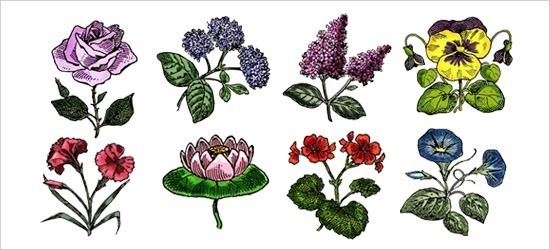 コラージュに役立ちそうオシャレなフリー素材 Free Flower Clip Art Diarylog