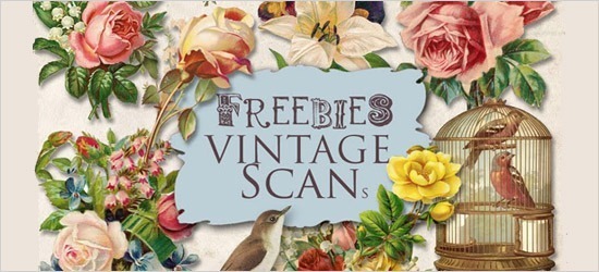 コラージュに役立ちそうオシャレなフリー素材 Freebies Vintage Flowers Illustrations Diarylog